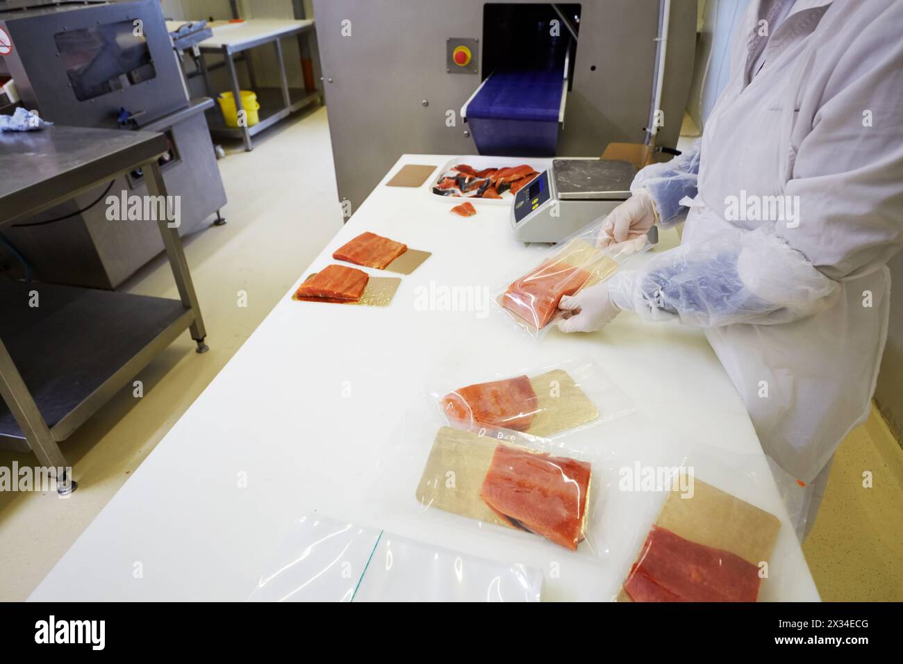 Der Arbeiter packt Stücke von rotem Salzfisch auf Folienpapier in die Pakete der Fischfabrik. Stockfoto