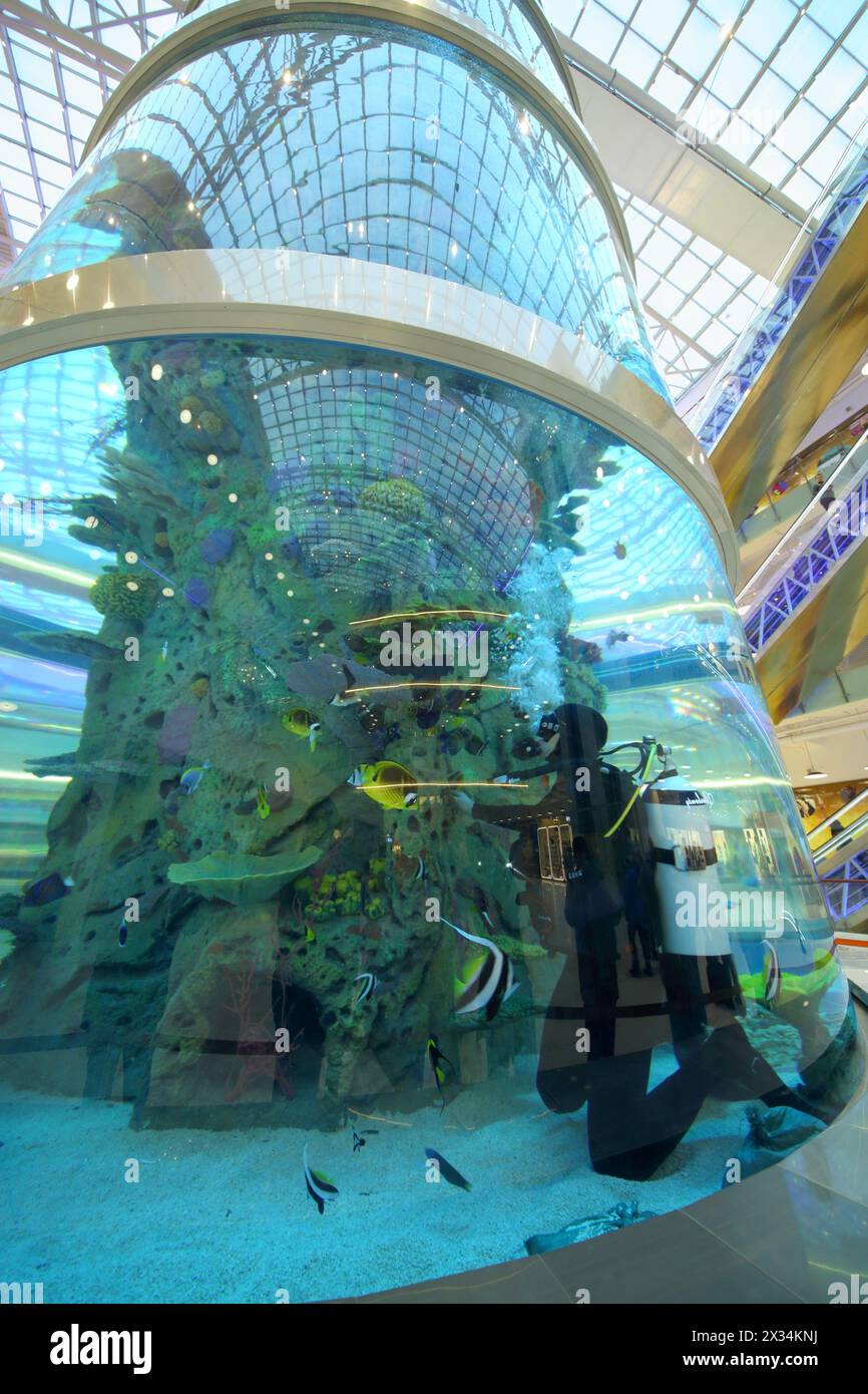 MOSKAU - 5. Dezember 2014: Die Basis des Aquariums mit einem Taucher im Einkaufs- und Unterhaltungskomplex Aviapark Stockfoto