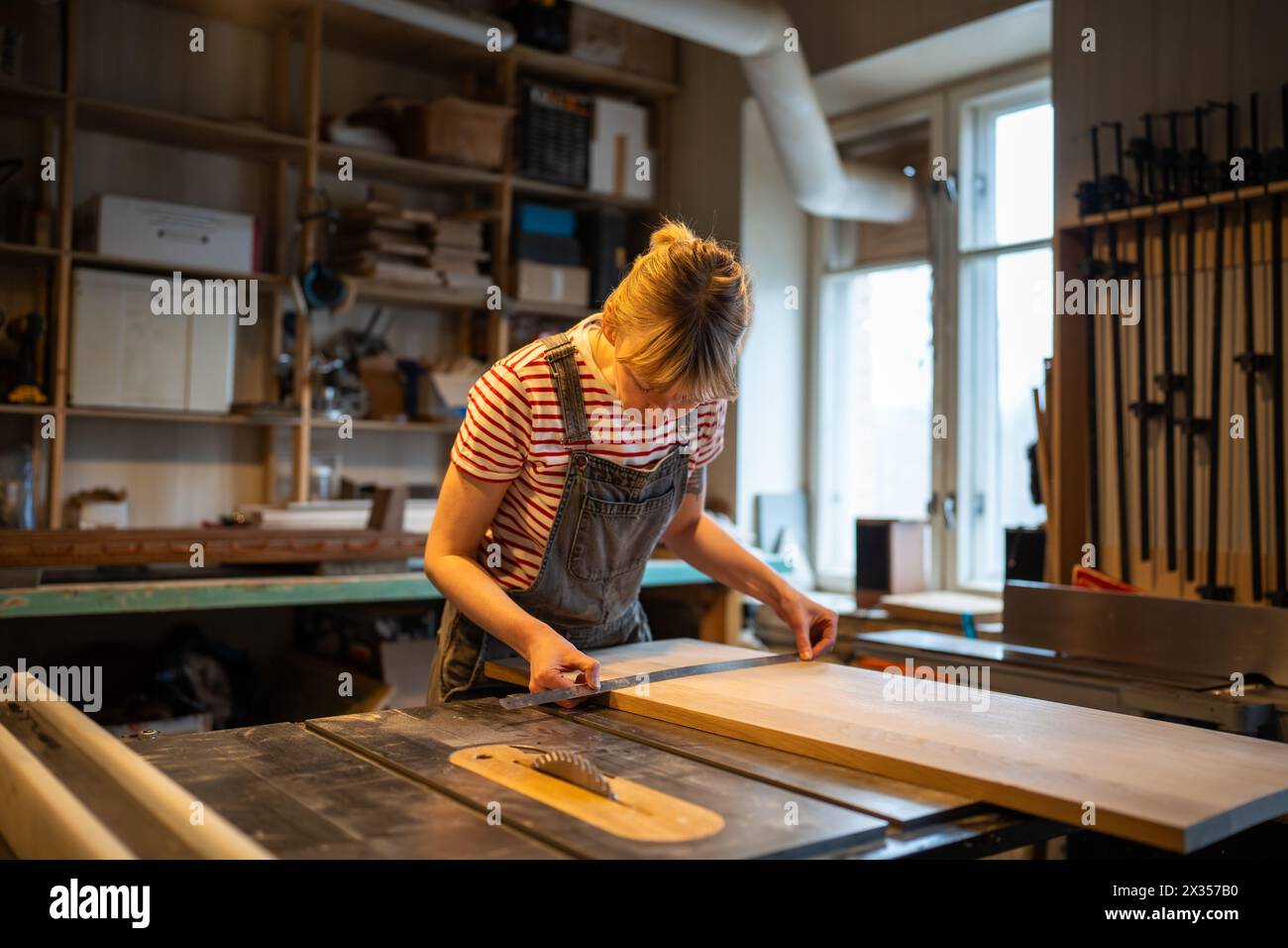 Fokussierte Zimmermannin bereitet Holzplatten für die Arbeitssäge vor, während Parameter in der Werkstatt gemessen werden. Stockfoto