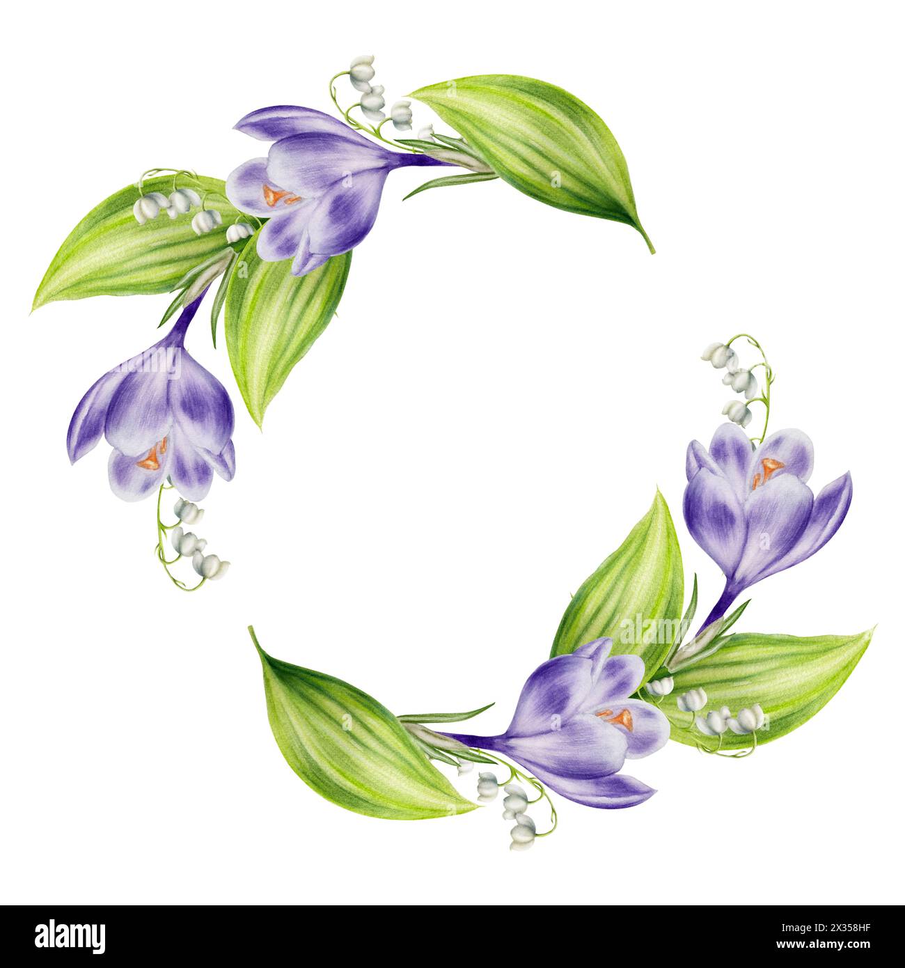 Aquarellrahmen, Kranz, Logo, Vorlage mit Blumenstrauß aus blühendem Krokus, Maiglöckchen und Blättern isoliert auf Hintergrund. Feder und Stockfoto