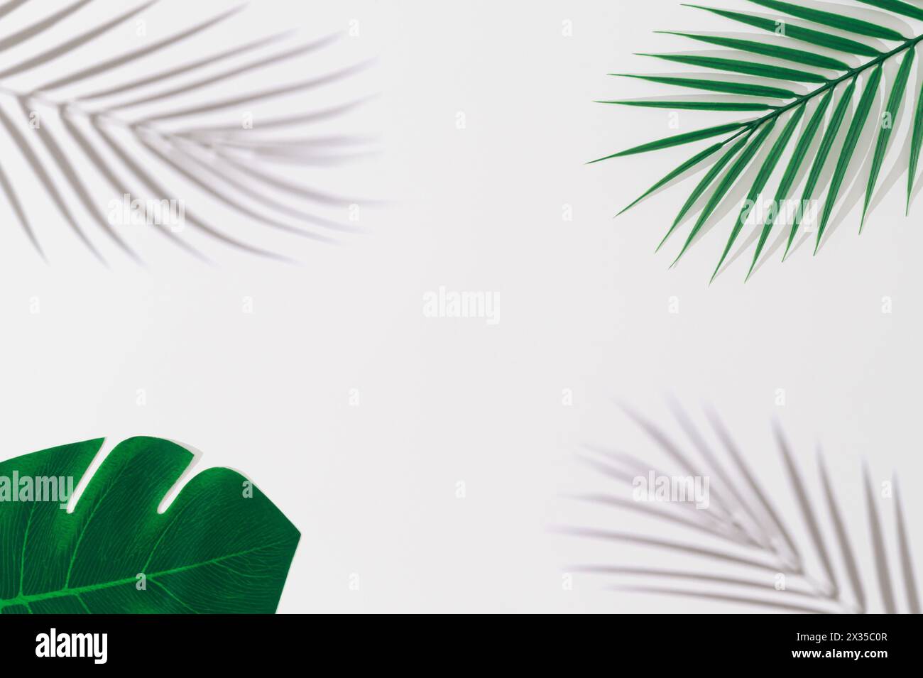 Grüne tropische Blätter und Schatten auf weißem Hintergrund. Minimales Sommerkonzept mit Palmenblatt. Kreativer Copyspace. Grenzanordnung. Stockfoto