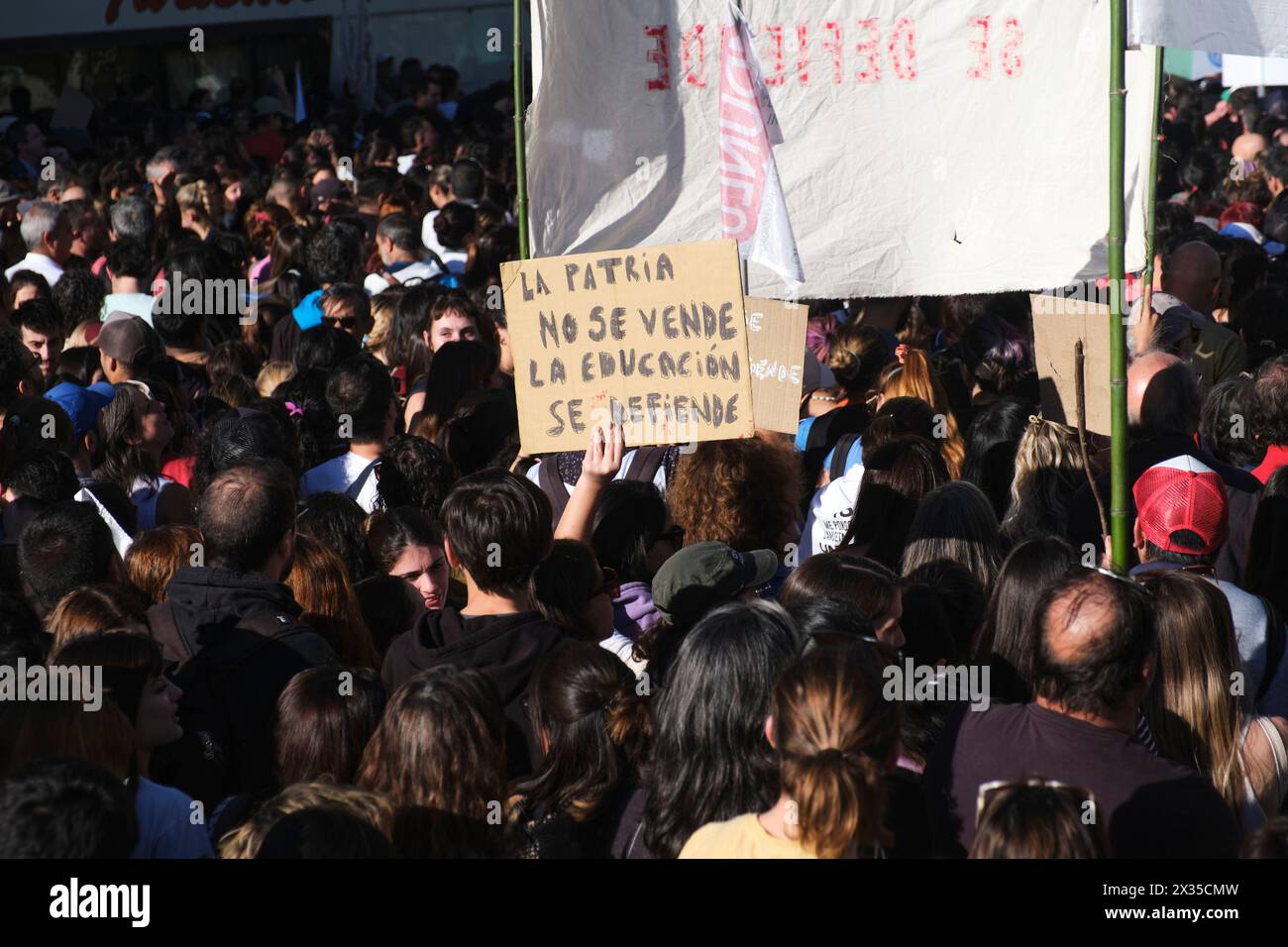 Buenos Aires, Argentinien, 23. April 2024: Demonstranten gegen öffentliche, freie und hochwertige Hochschulbildung. Poster: Die Heimat Stockfoto