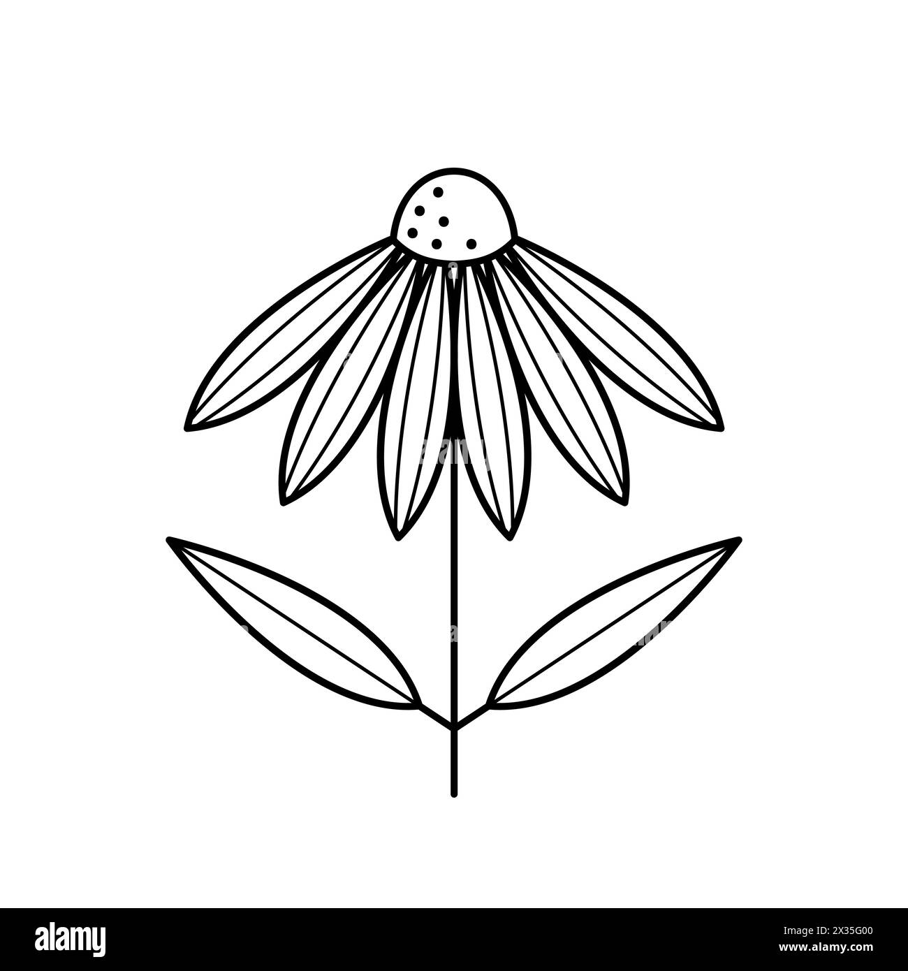 Echinacea Blume Symbol. Coneflower mit Blättern. Pflanzliche Heilpflanze. Vektorgrafik umreißen. Stock Vektor