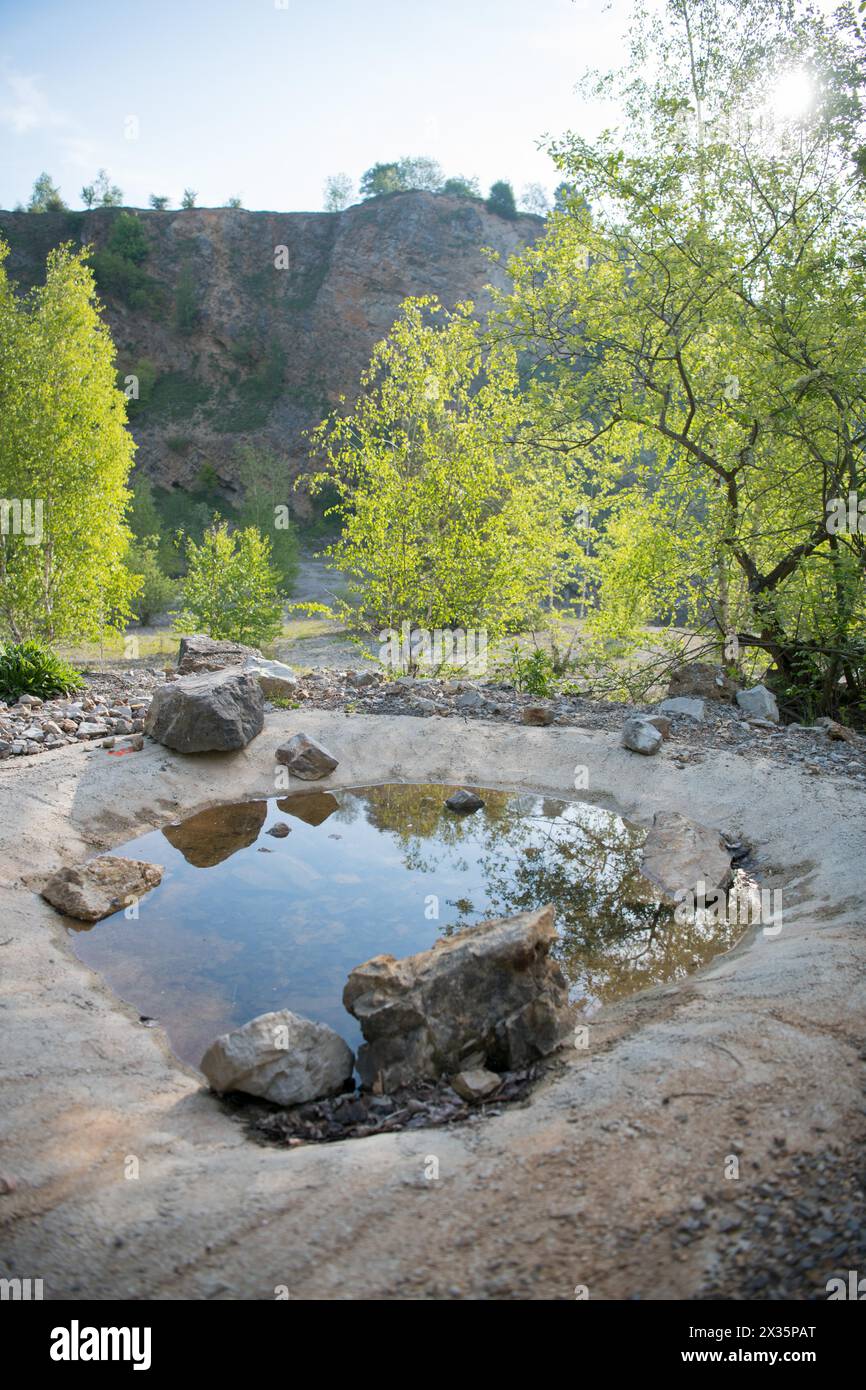 Artenschutz, Wasserkörper für Amphibien in einem stillgelegten Steinbruch in Stolberg, Nordrhein-Westfalen, Deutschland Stockfoto