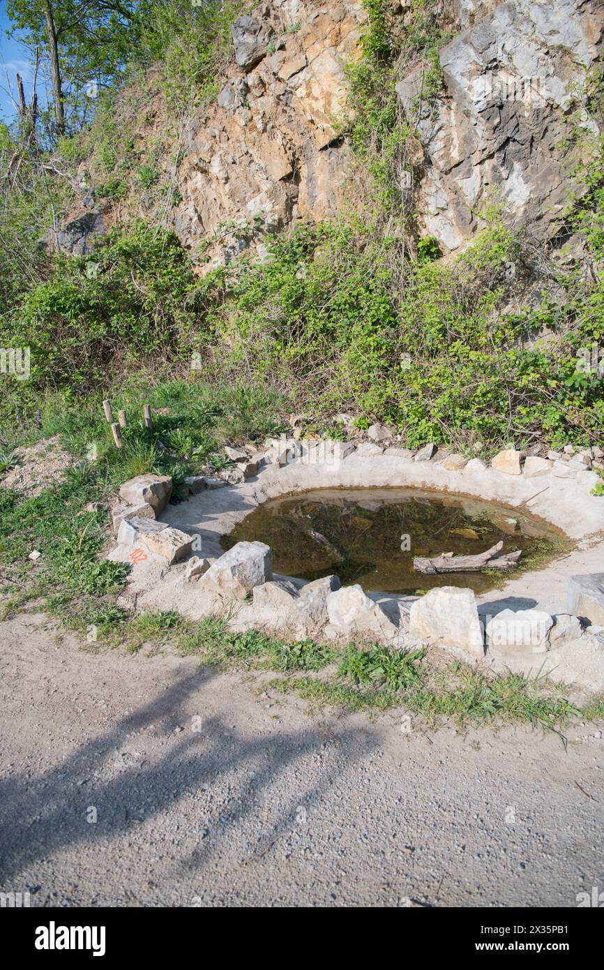 Artenschutz, Wasserkörper für Amphibien in einem stillgelegten Steinbruch in Stolberg, Nordrhein-Westfalen, Deutschland Stockfoto