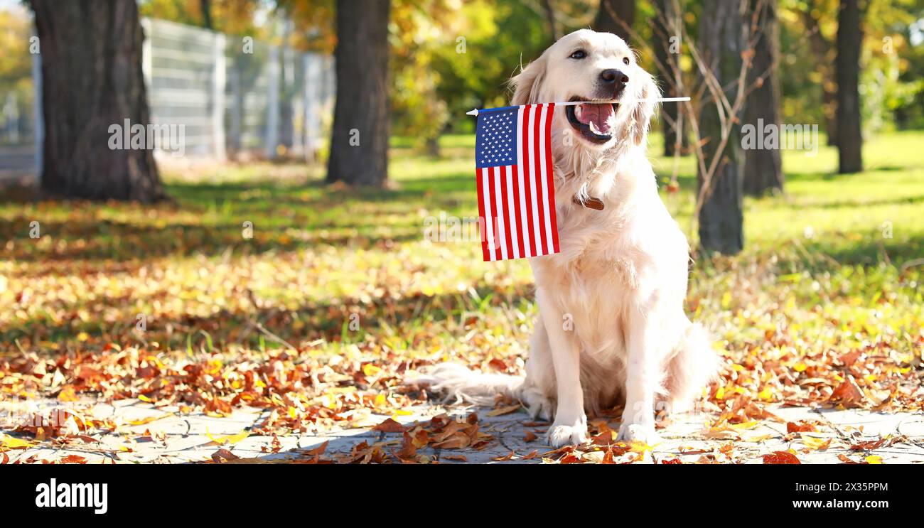 Süßer Hund mit Flagge der USA im Park. Gedenkfeier Stockfoto