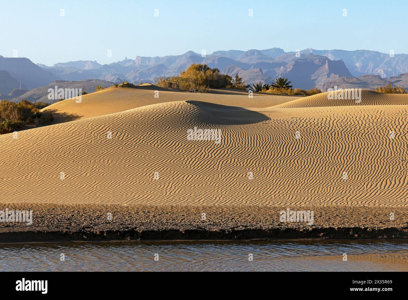 Naturschutzgebiet Dünen von Maspalomas, Lagune La Charca de Maspalomas und Sanddünen im Abendlicht, Provinz Las Palmas, Gran Canaria, Kanarischen Inseln Stockfoto