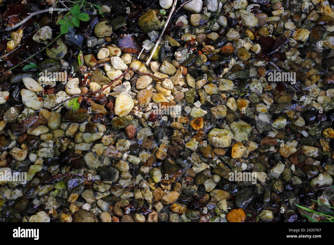 Bunte Kieselsteine im Wasser, Nordrhein-Westfalen, Deutschland Stockfoto