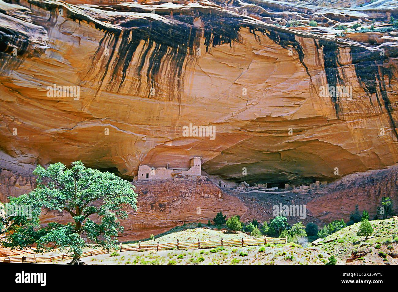 Mummy Cave Ruin, Canyon de Chelly National Monument, Gebiet der Navajo Nation im Nordosten des US-Bundesstaates Arizona. Die nächste Stadt ist Stockfoto