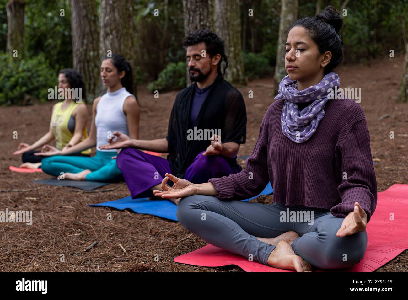 Eine Gruppe junger Lateinamerikaner meditiert über ihre Yoga-Praxis im Freien in einem Kiefernwald. Yoga- und Wellness-Klasse-Konzept Stockfoto