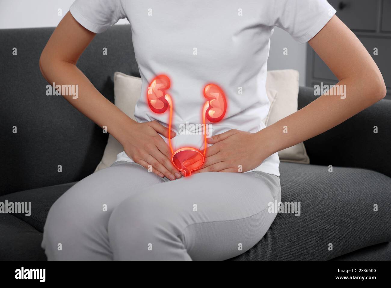 Frau, die an Zystitis leidet, auf dem Sofa zu Hause, Nahaufnahme. Illustration des Harnsystems Stockfoto