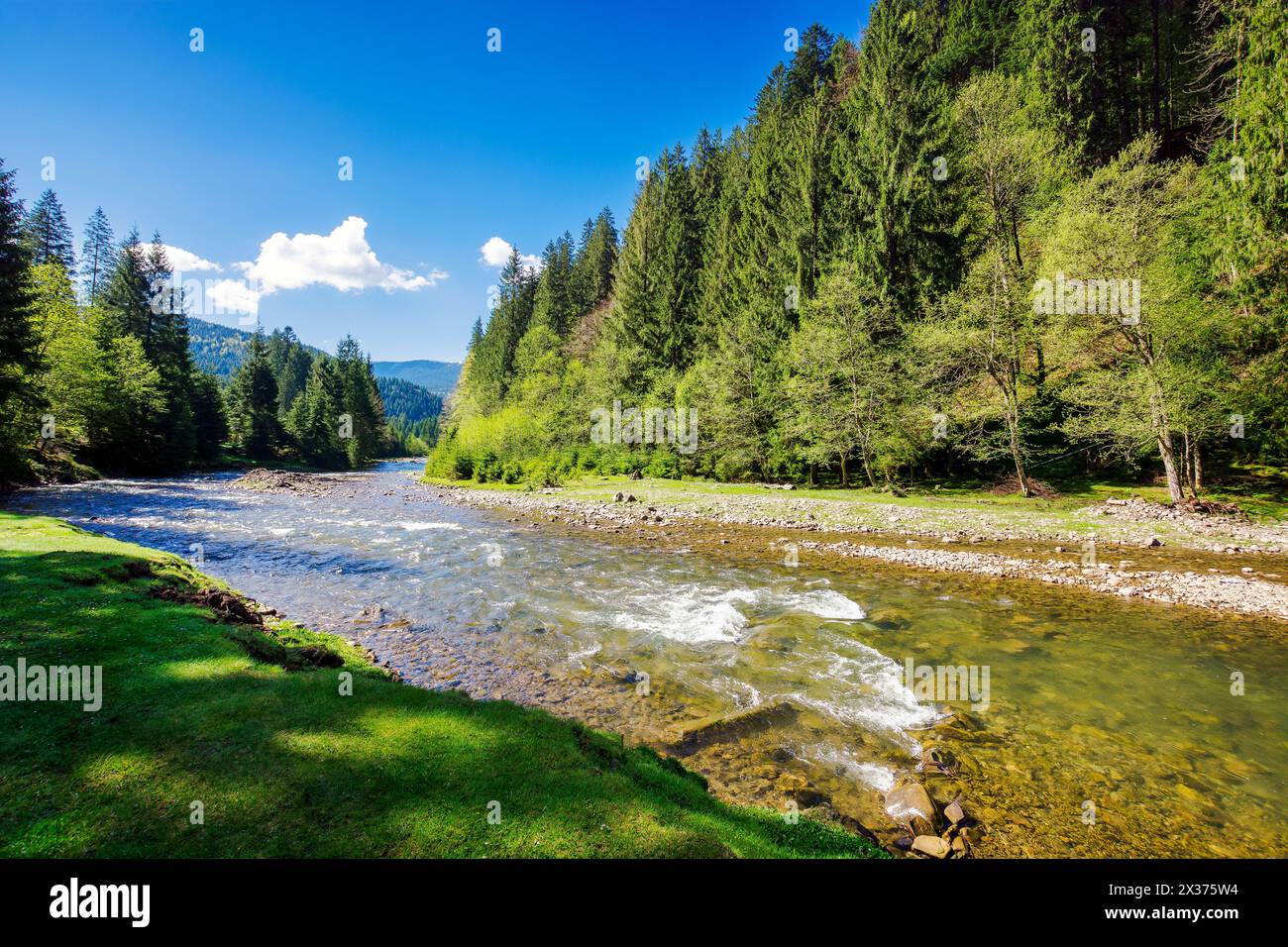 Landschaft mit Fluss zwischen bewaldeten Hügeln im Frühling an einem sonnigen Morgen. Wasserdampf, der sich zwischen grasbewachsenen Ufern windet. Berglandschaft in t Stockfoto