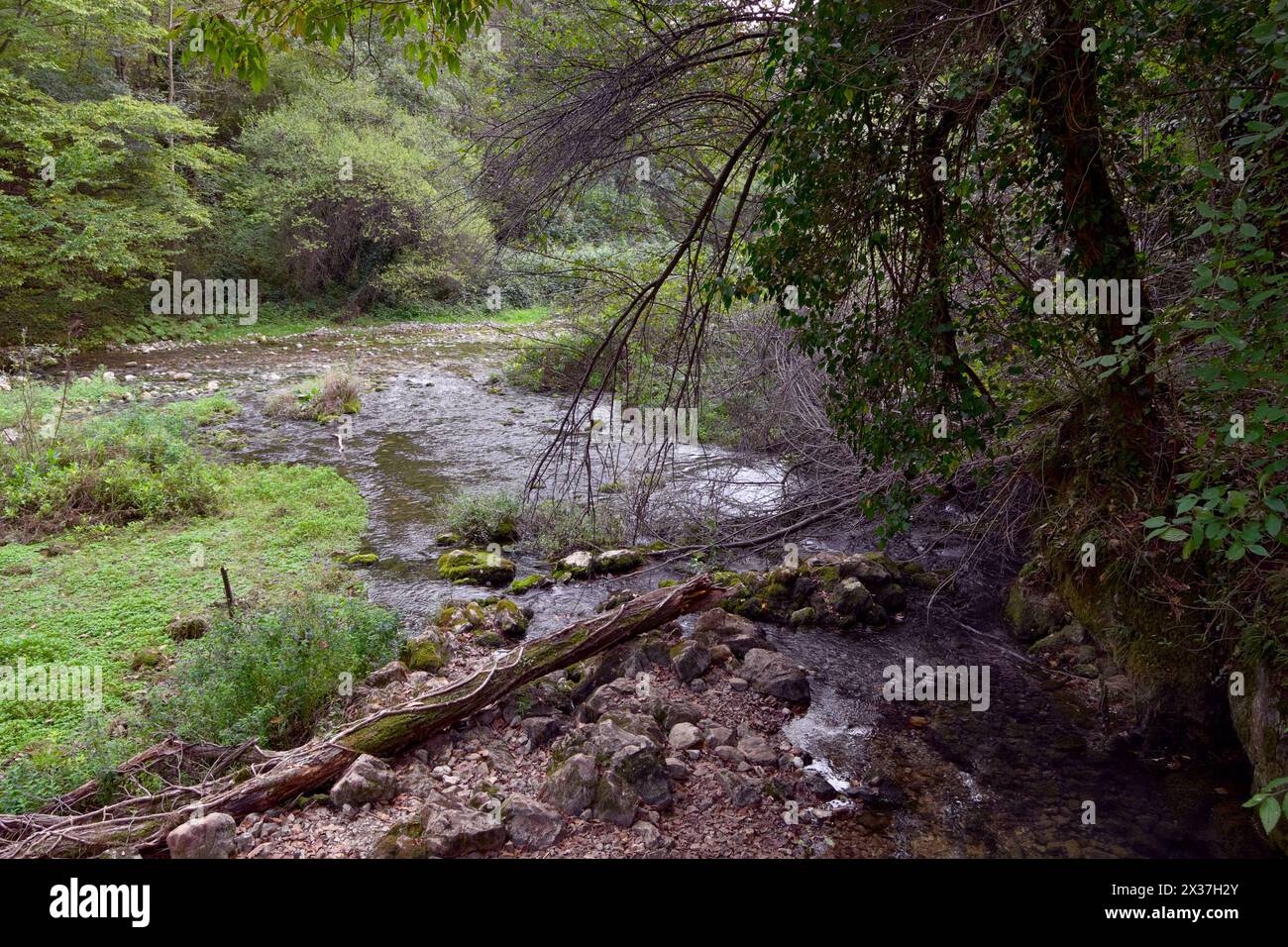 Der unverschmutzte Fluss der Quellen Gradac fließt durch die Karstregion des Valjevo-Gebirges in Westserbien Stockfoto