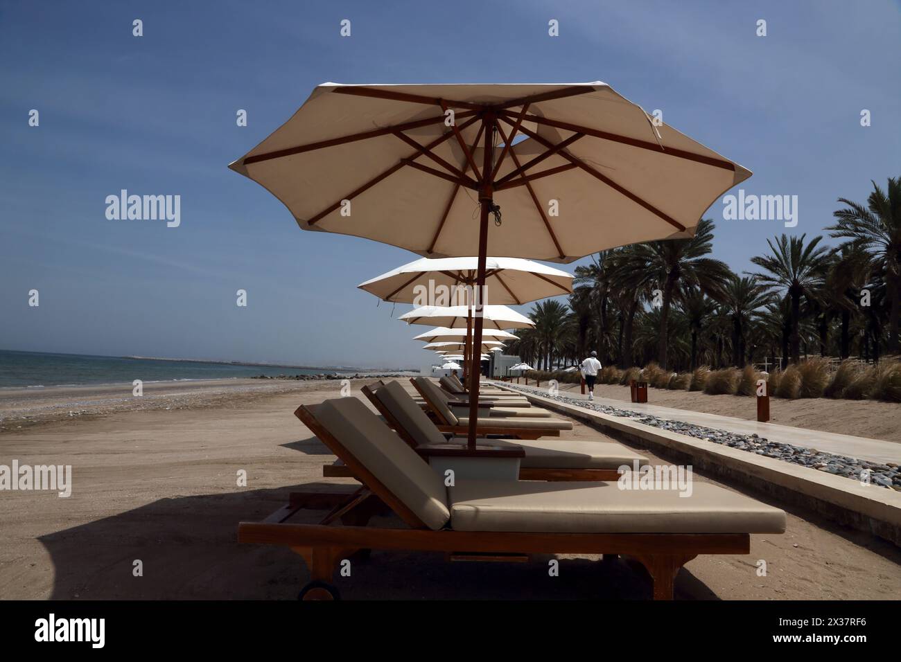 Leere Sonnenliegen und Sonnenschirme am Strand im Chedi Hotel Muscat Oman Stockfoto