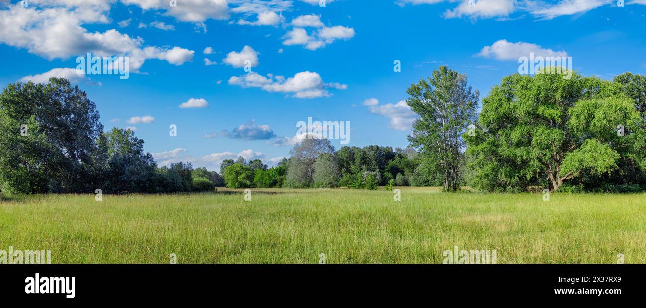 Idyllische Berglandschaft mit frischen grünen Wiesen und blühenden Wildblumen. Idyllische Natur mit Blick auf die Landschaft, ländlicher Naturblick im Freien. Idyllisches Verbot Stockfoto