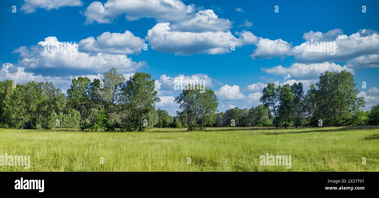 Idyllische Berglandschaft mit frischen grünen Wiesen und blühenden Wildblumen. Idyllische Natur mit Blick auf die Landschaft, ländlicher Naturblick im Freien. Idyllisches Verbot Stockfoto