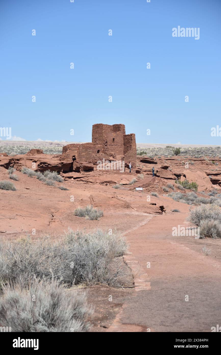 Flagstaff, AZ., USA 20.03.2024. Wupatki Ruinen des Wupatki National Monument. Erbaut um 1040 bis 1100 n. Chr. von den Sinagua. Stockfoto