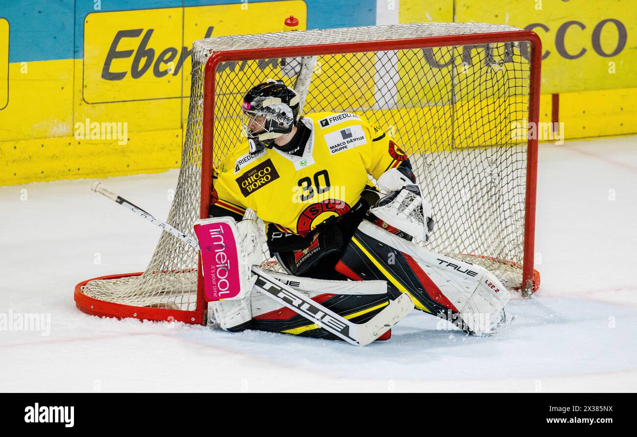 SC Bern Torhüter Philip Wüthrich beim Playoffqualifikationsspiel gegen den EHC Kloten. (Kloten, Schweiz, 24.09.2022) Stockfoto