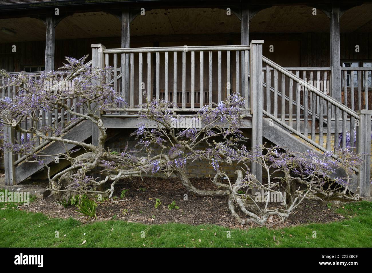 Leeds Castle Pavillon Rasen Stockfoto