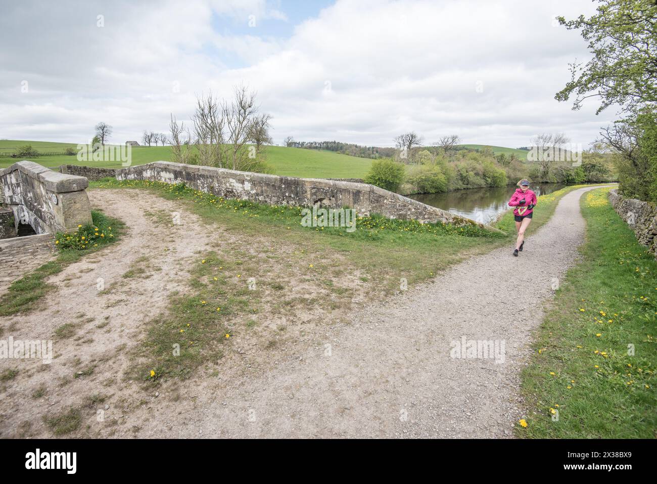 Gut benutzter Schleppweg am Leeds Liverpool Kanal, wo Hundeschlittenfahrer, Radfahrer, Läufer und Schmalbootfahrer den derzeit guten Zustand des Schleppwegs schätzen. Stockfoto