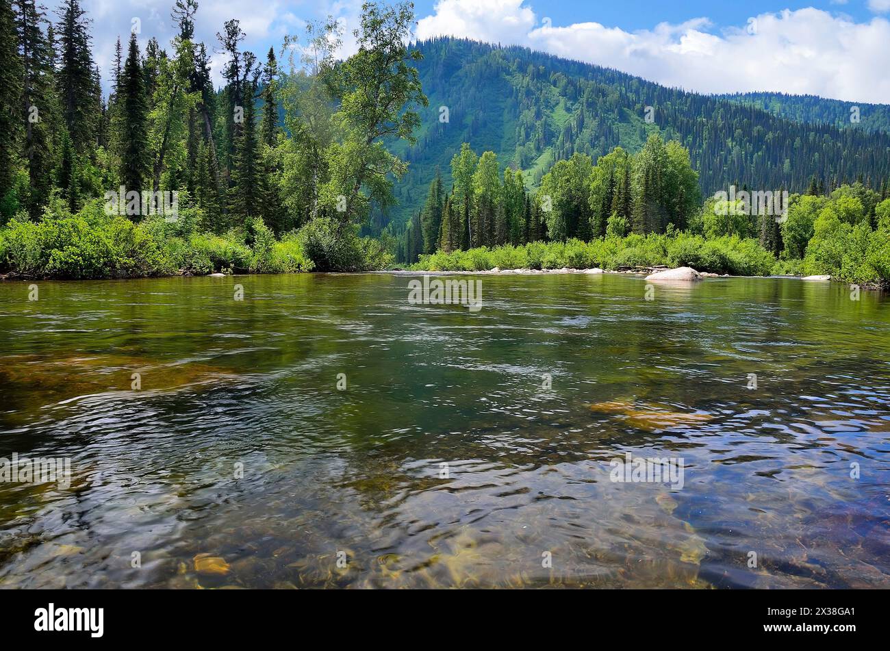 Schönen sonnigen Sommer Landschaft. Schnell fließenden Gebirgsfluss unter dichten Wäldern und riesigen Steinen Stockfoto