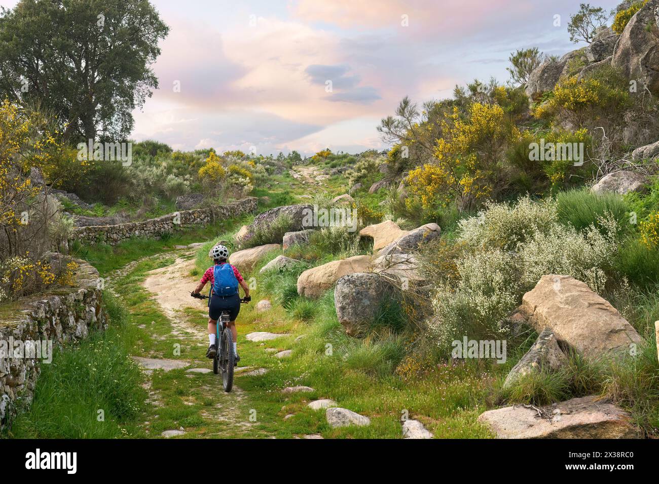 Aktive Seniorin radelt mit ihrem E-Mountainbike in der rauen Landschaft des Nationalparks Serra de São Mamede in der Nähe von Marvao im Zentrum Portugals Stockfoto