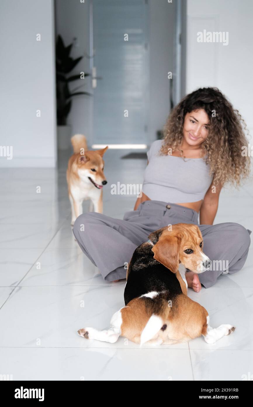 Eine junge Frau mit lockigen Haaren, die neben ihren beiden Hunden auf dem Boden sitzt. Stockfoto