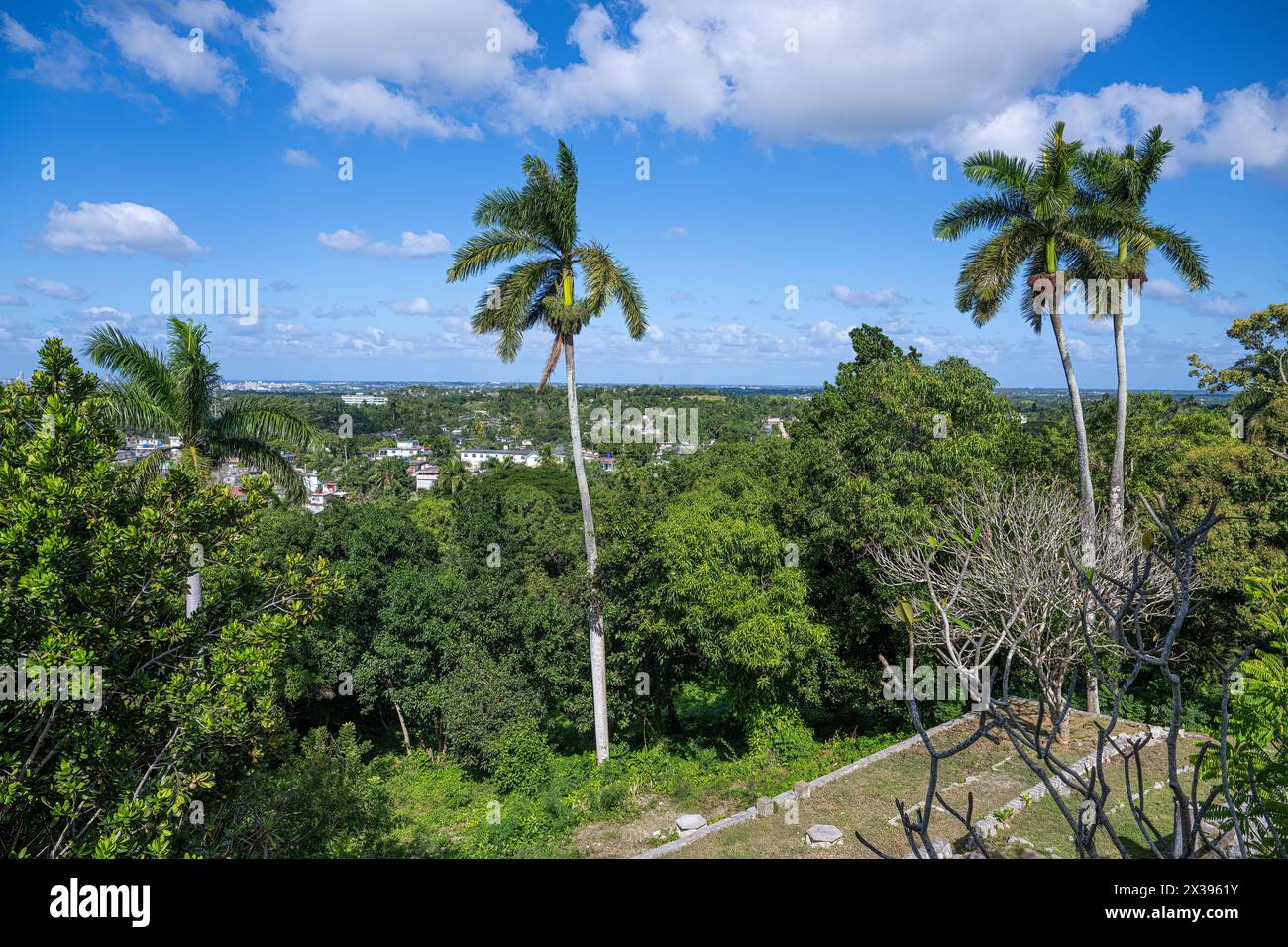 Blick von der Villa Ernest Hemingway, Havanna, Kuba Stockfoto