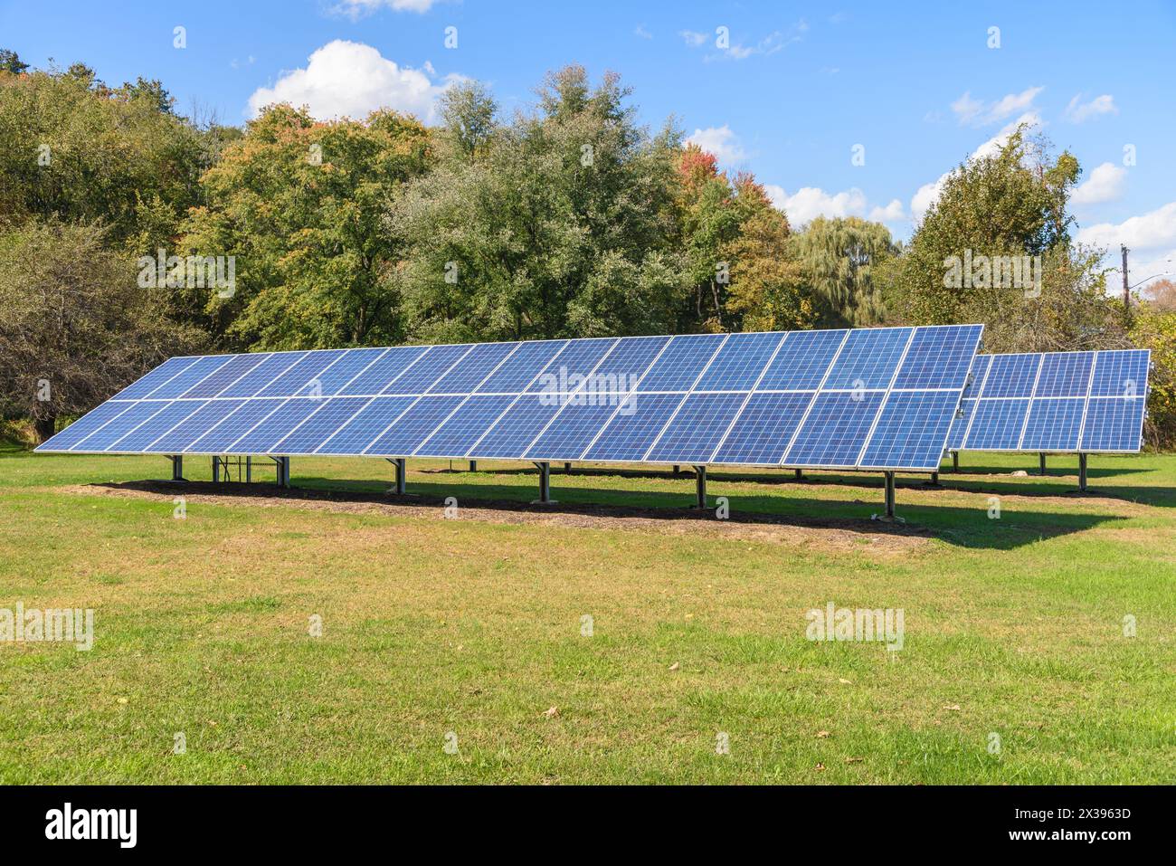 Reihen von Solarpaneelen auf Gras mit Bäumen im Hintergrund an einem klaren Herbsttag Stockfoto