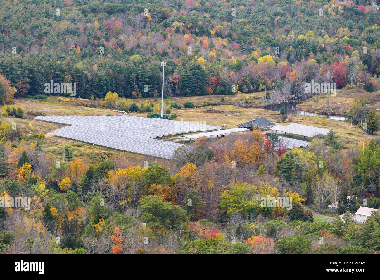 Luftaufnahme einer Reihe von Solarpaneelen umgeben von farbenfrohen Wäldern in der Landschaft im Herbst Stockfoto