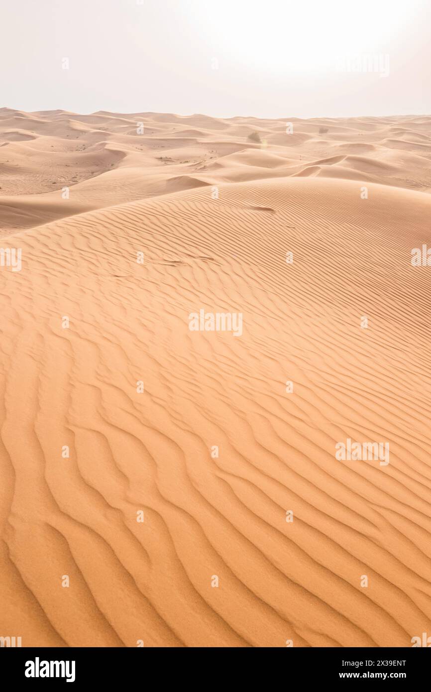 Wunderschöne große Wüste mit großen gelben Dünen an heißen sonnigen Tagen Stockfoto