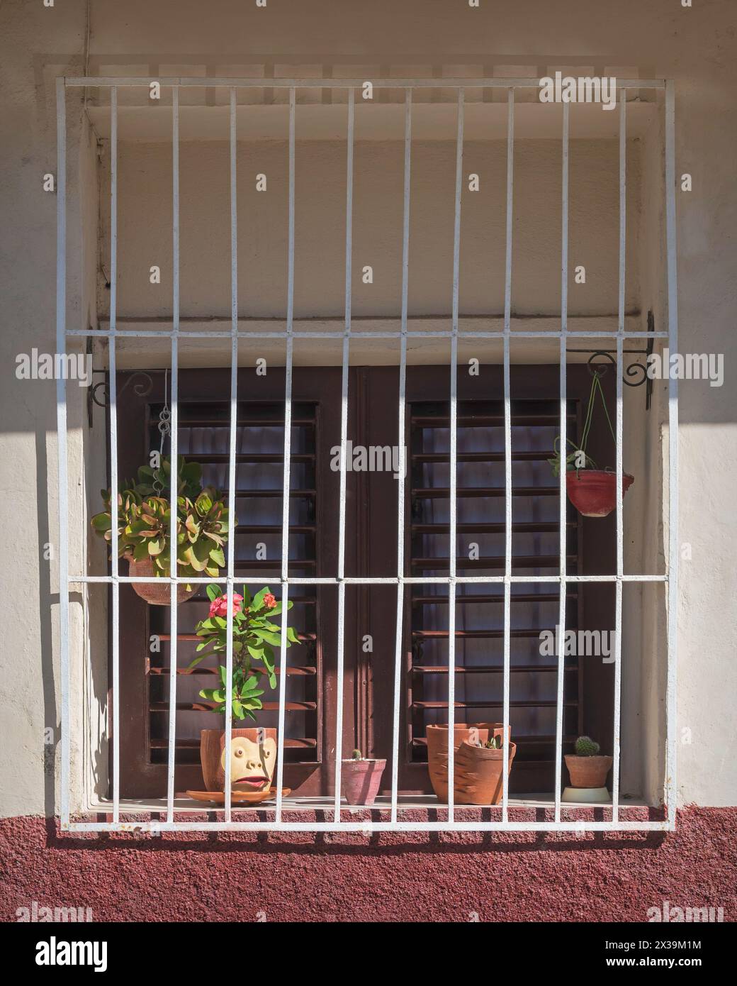 Das verschlossene Fenster eines Hauses und Topfpflanzen in einem gut gepflegten Viertel von Cienfuegos, Kuba Stockfoto