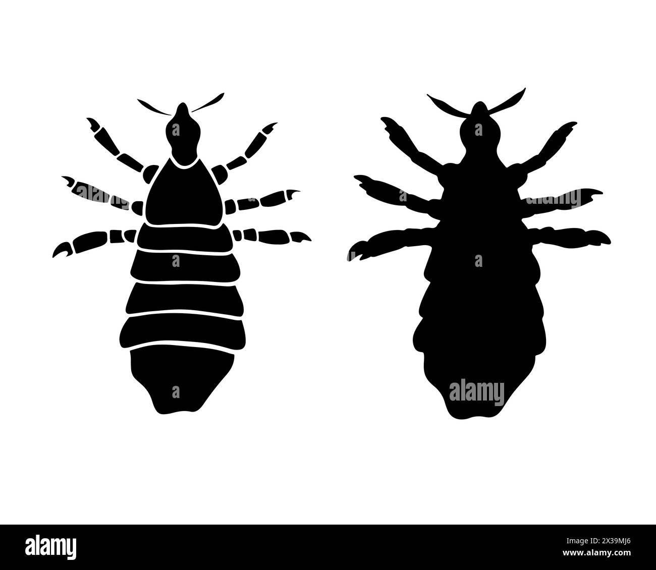 Vektor-isolierte Illustration der Laus-Silhouette auf weißem Hintergrund. Stock Vektor