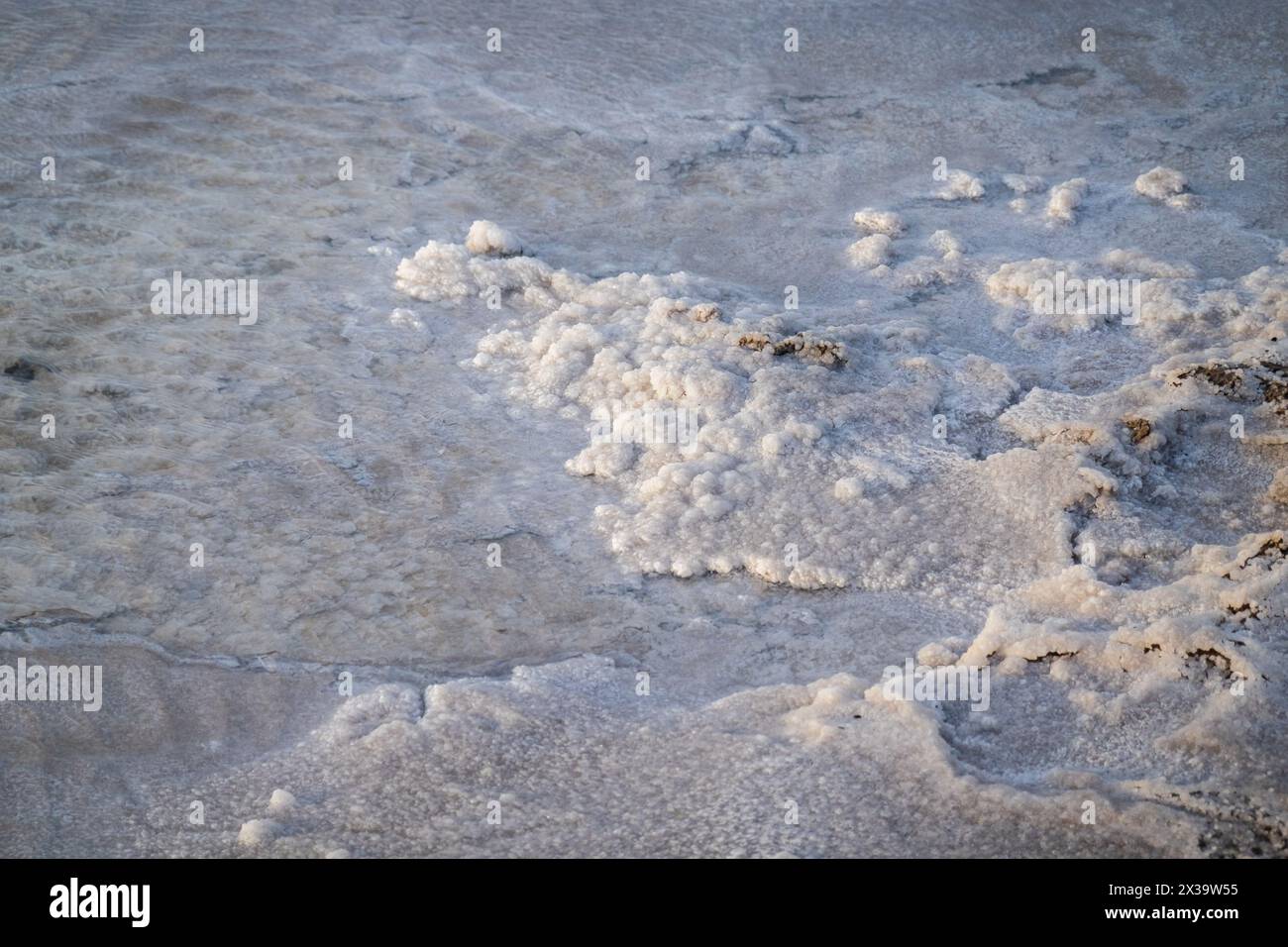 Komplexe Texturen und Muster von Salzablagerungen entlang des Ufers eines ruhigen Salzsees. Das natürliche Licht hebt die kristallinen Details hervor und sorgt für eine ruhige und friedliche Atmosphäre. Stockfoto