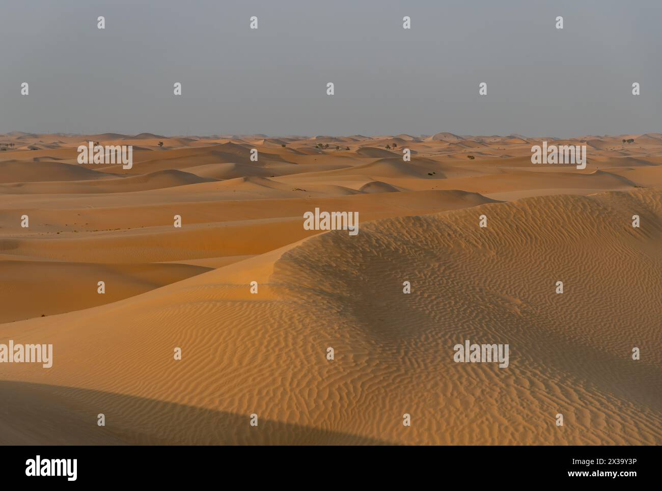 Ein Bild der Wüstenlandschaft außerhalb von Abu Dhabi. Stockfoto