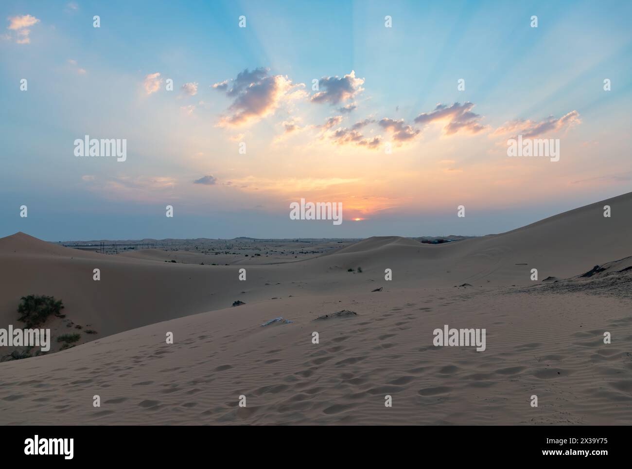 Ein Bild der Wüstenlandschaft außerhalb von Abu Dhabi bei Sonnenuntergang. Stockfoto