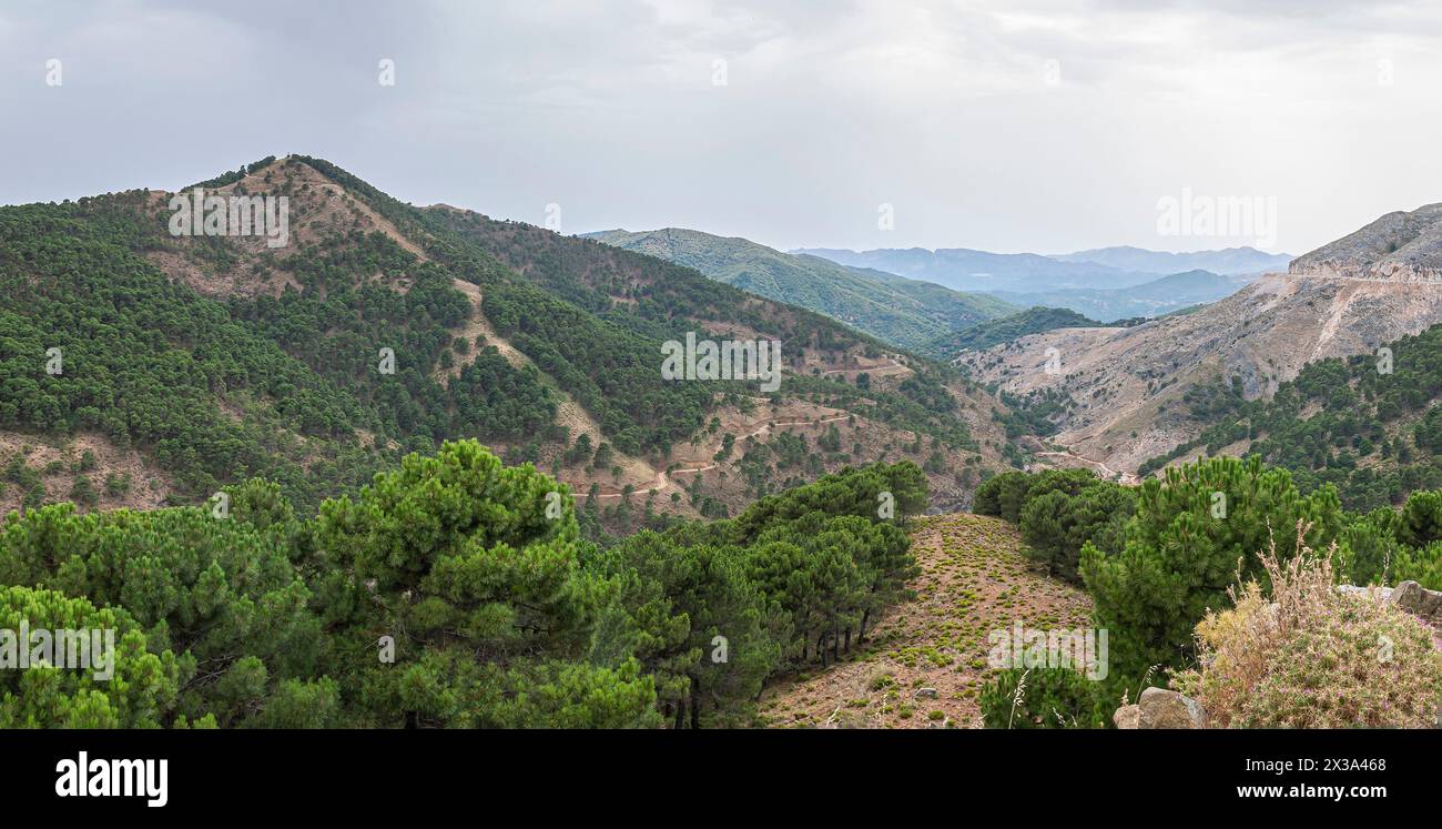Panoramablick auf eine typische Berglandschaft Andalusiens unter stürmischem Himmel. Malaga, Spanien. Stockfoto