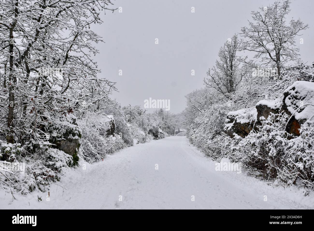Draußen nach Schneesturm, Winterwunderland, Ruhe nach Schneefall Stockfoto