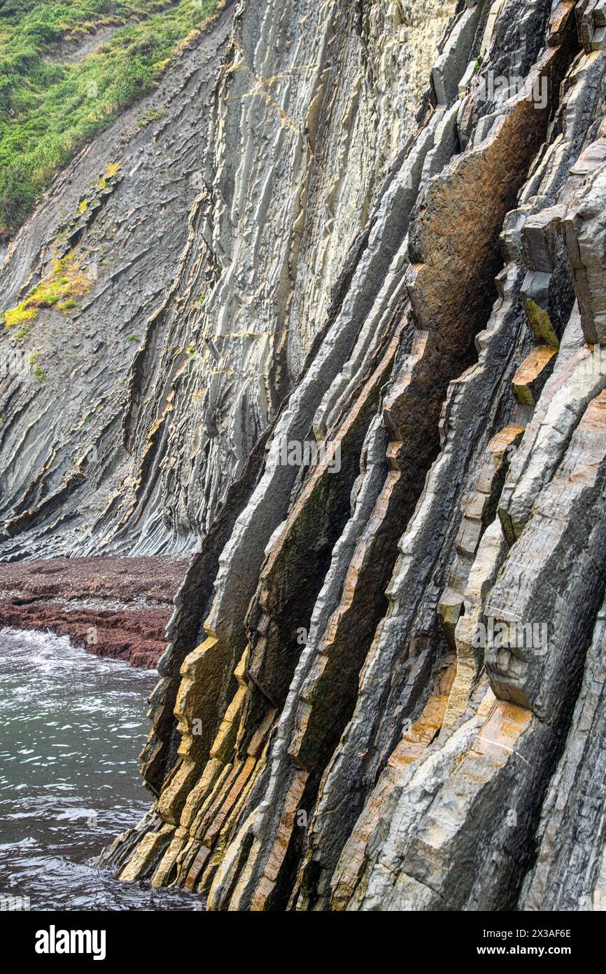 Steil gekippte Schichten von Flysch, Flysch Cliffs, Baskische Küste UNESCO Global Geopark, European Geopark Network, Zumaia, Guipúzcoa, Baskenland, Spanien Stockfoto