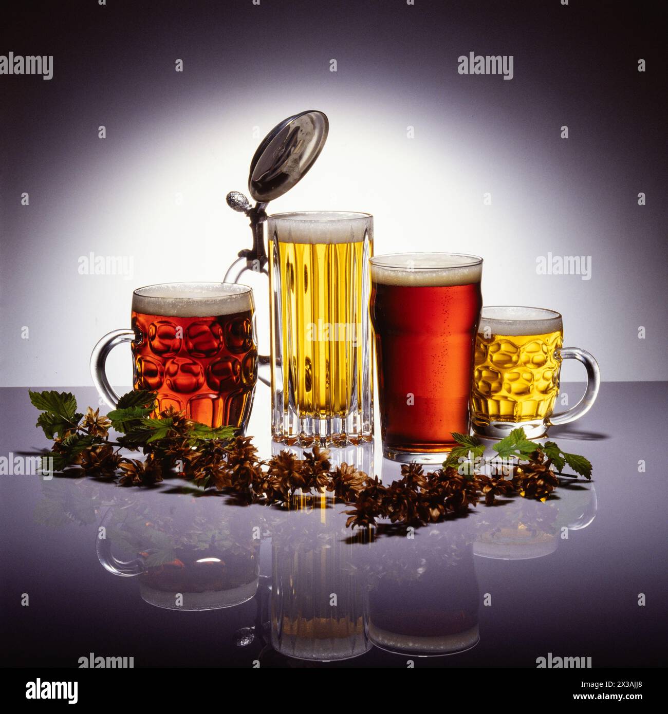 Studio-Foto auf grauer reflektierender Oberfläche, von Bier in Gläsern mit Hopsbar Stockfoto