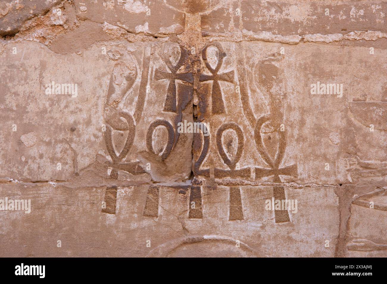 Mehrere Schlüssel des Lebens (Ankh) an einer Wand im Karnak Tempelkomplex in Luxor, Ägypten Stockfoto