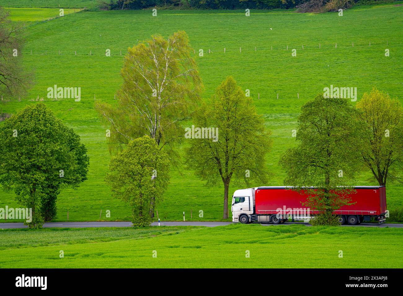 LKW auf einer Landstraße, grüne Felder, Wiesen, Bäume säumen die 2spurige Straße, Frühjahr, bei