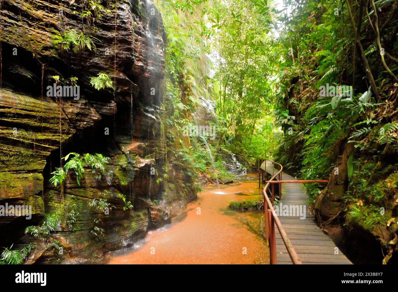 CACHOEIRA DO SANTUÁRIO Stockfoto