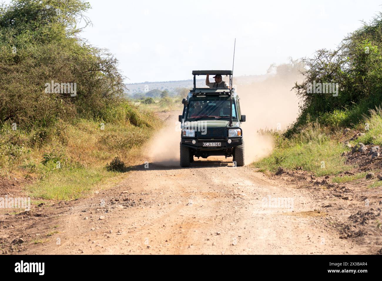 Der SUV mit offenem Dach fährt am Nachmittag durch die Savanne. Safari-Safari, Amboseli-Nationalpark, Kenia. Februar 2024. Stockfoto