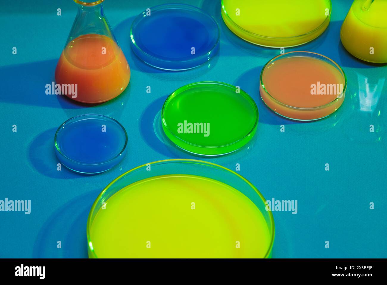 Orangefarbene, grüne, blaue und gelbe chemische Flüssigkeit, gefüllt in mehreren Petrischalen und erlenmeyerkolben. Medizinexperiment und chemischer Biologiestud Stockfoto