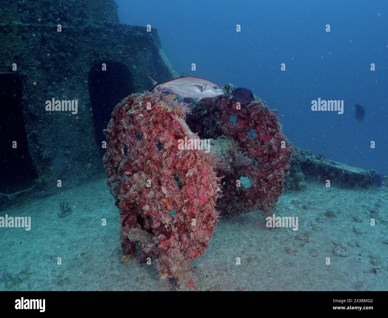 Ein verlassenes Unterwasserwrack, bedeckt mit Meereslebewesen, mit einem Fisch, der vorbeischwimmt. Seilwinde am Wrack des USS Spiegel Grove, Tauchplatz John Pennekamp Stockfoto