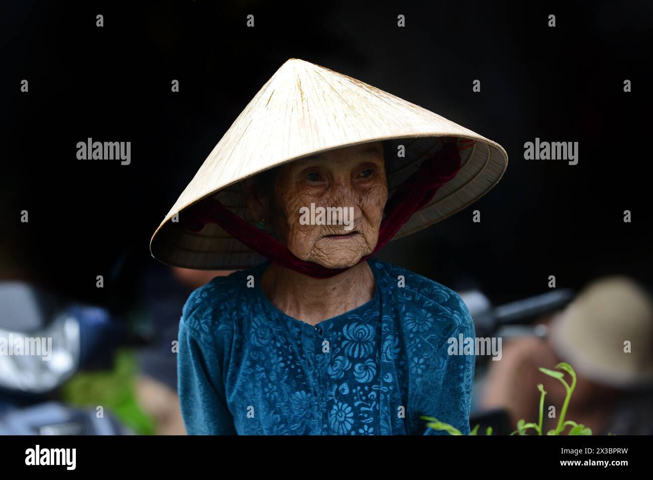 Porträt einer älteren vietnamesischen Frau, aufgenommen auf einem lokalen Markt in Hội an, Vietnam. Stockfoto