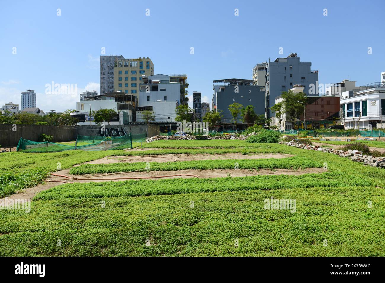 Die sich wandelnde Stadtlandschaft von da Nang. Immer mehr kleine Bauernhöfe weichen neuen modernen Gebäuden. Da Nang, Vietnam. Stockfoto
