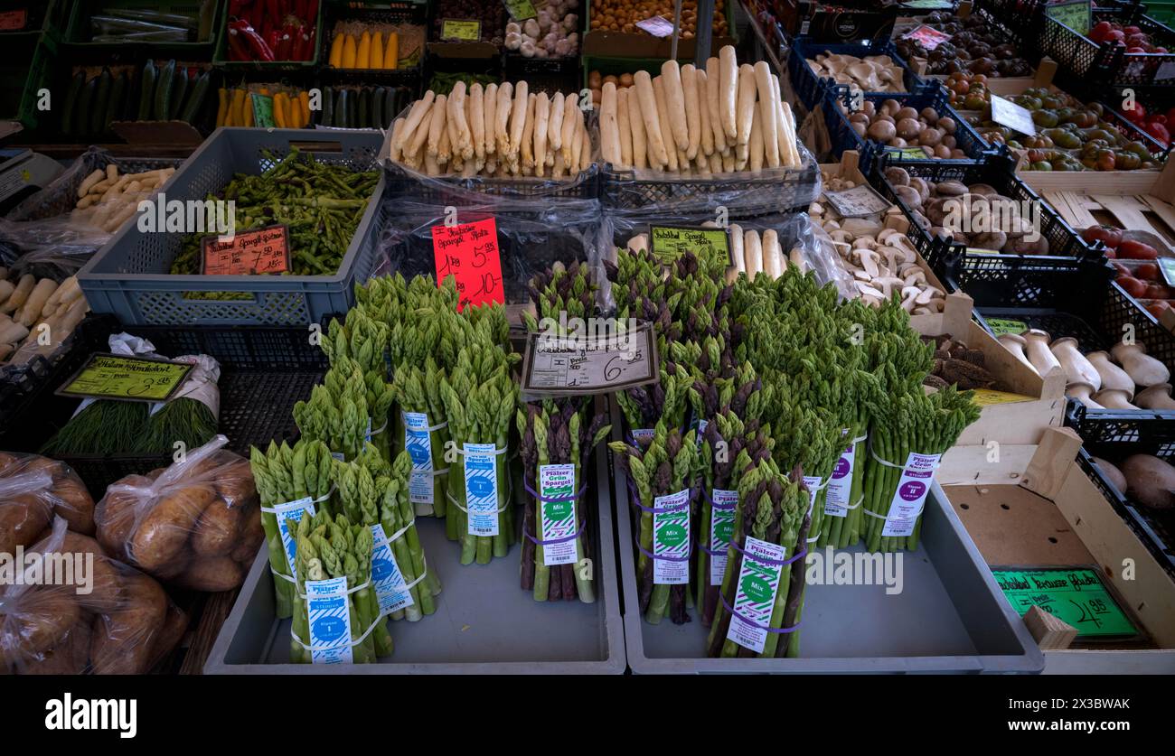 Frischer Spargel, grün, weiß, Gemüse, Preisschild, Preis Wochenmarkt Stuttgart, Baden-Württemberg, Deutschland Stockfoto