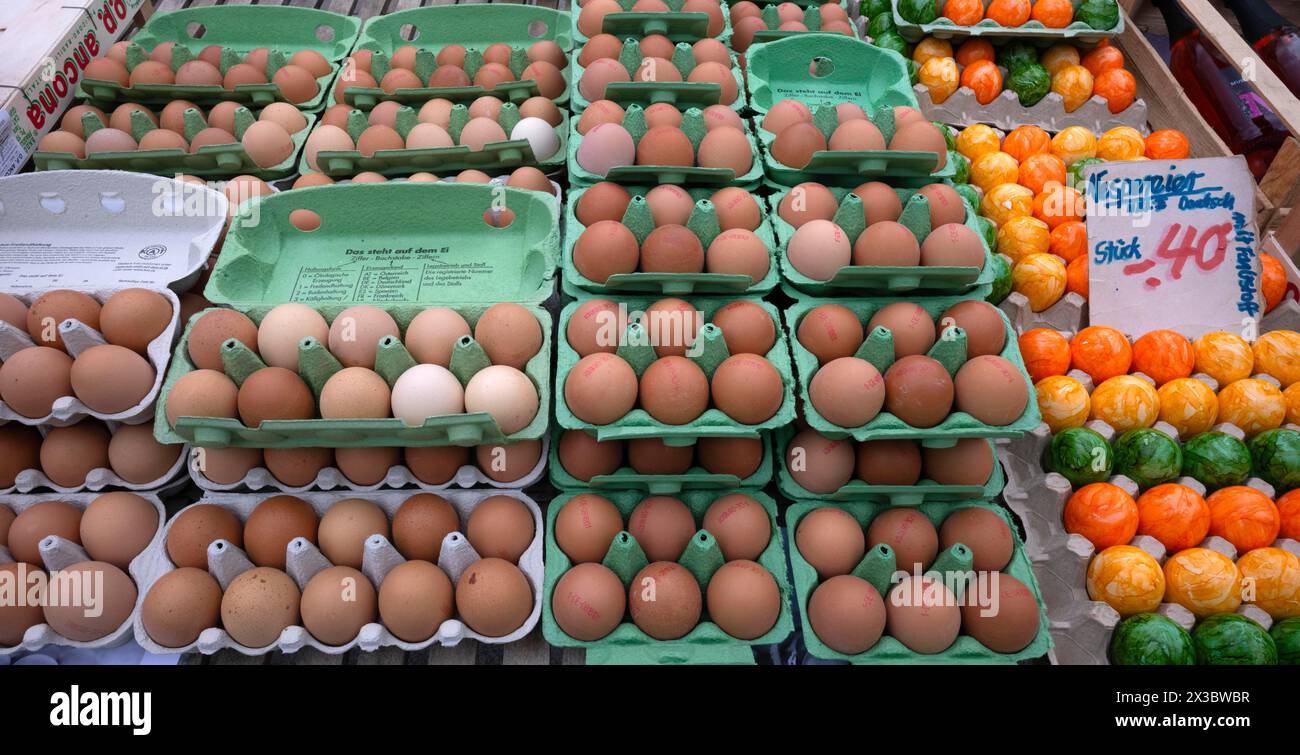 Frische Eier, vesper-Eier, Freilandeier, Eierkarton, Wochenmarkt, Stuttgart, Baden-Württemberg, Deutschland, Europa Stockfoto